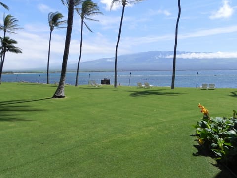 Maalaea Bay with Views of Haleakala Crater and South Maui- Great Whale Watching
