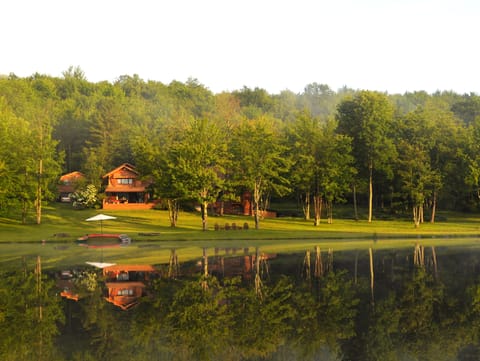 A peaceful morning on the lake