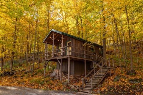 With all the maples around the cabin, it is always beautiful here in the fall.