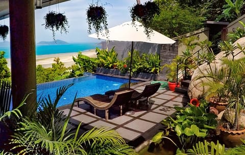 Lovely poolside area, with sun loungers, parasol and lotus pond with turtles 
