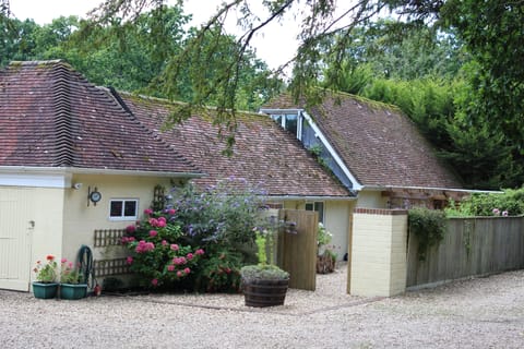 New Forest Stables