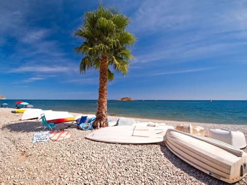 Water, Sky, Cloud, Blue, Beach, Wood, Outdoor Furniture, Coastal And Oceanic Landforms, Arecales, Leisure