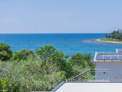 Water, Sky, Azure, Plant, Vegetation, Coastal And Oceanic Landforms, Tree, Leisure, Horizon, Slope