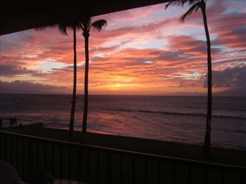 Here's the reason we call it paradise, from $295/ nt