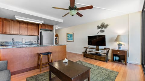 Flat screen 48" LED TV and DVD player.