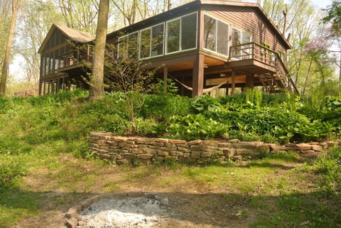 From the river bank
