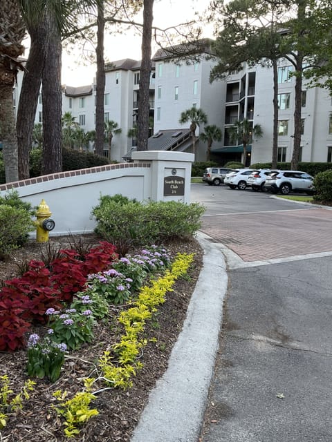 Welcome!  South Beach Club
