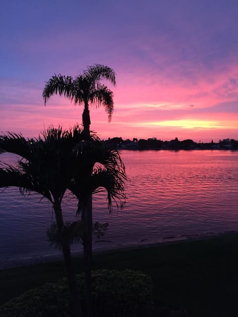Picture Taken off the Balcony! Back of the condo. Beautiful Sunset Views!