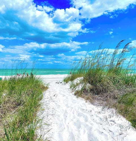 This is our beach. Out the door, down the steps (or elevator), step on the sand!