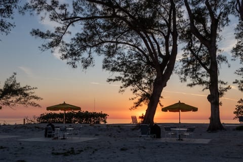 The beach patios at sunset
