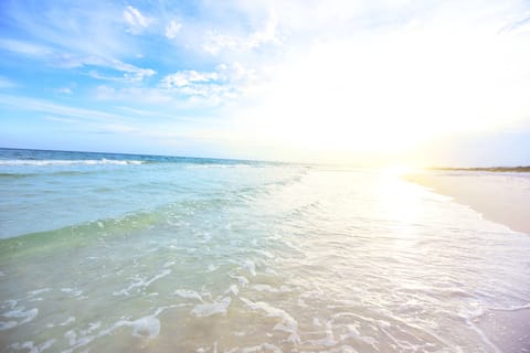 Home of the Most Beautiful Beach!