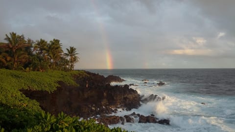 Nearby Morning View from Kahakai Park.  A 10 minute walk here from the house.