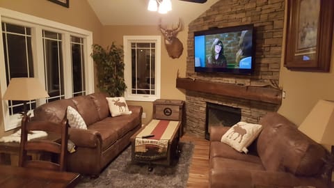 Living Room, Gas Fireplace, Queen Sleeper Sofa, 65" TV, WIFI