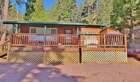 Cabin 10