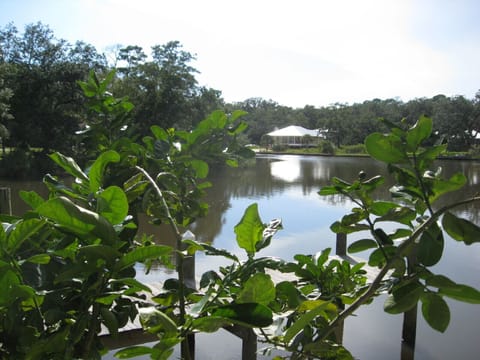 The view from the lower patio area of the cabin. 