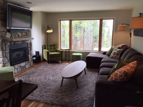 Mountain/forest views from cozy living area