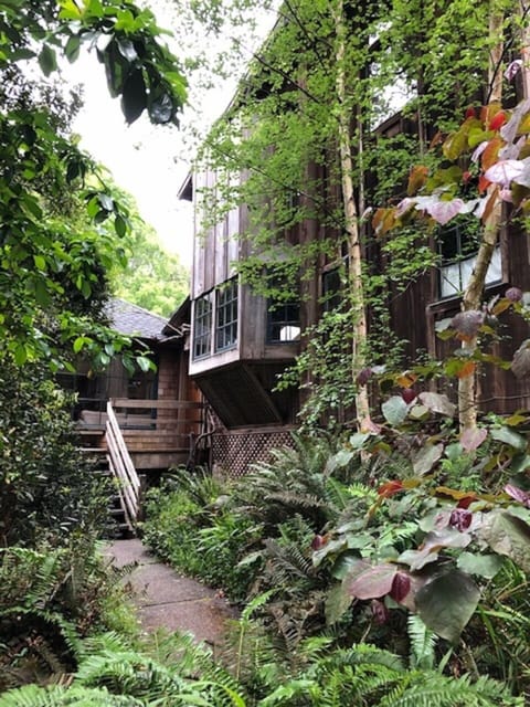 Leafy fairytale entrance