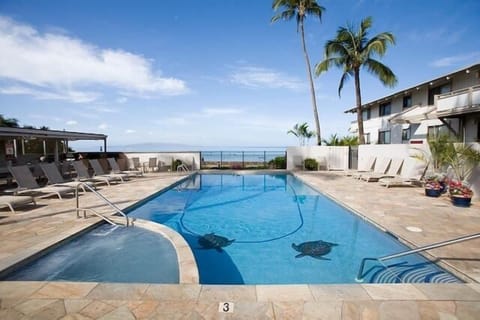 Shores of Maui private pool for guests only