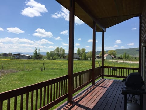 BBQ on the covered, wrap-around porch