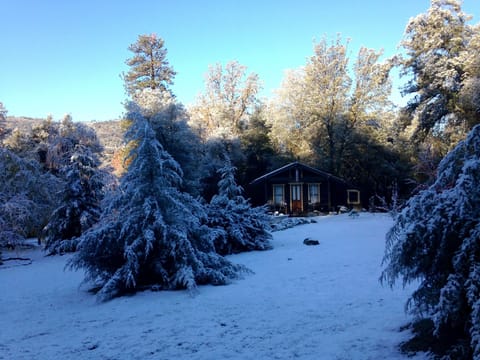 Cabin - Winter Fantasy