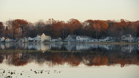 The view in the fall, one of my favorite views all year long, priceless!