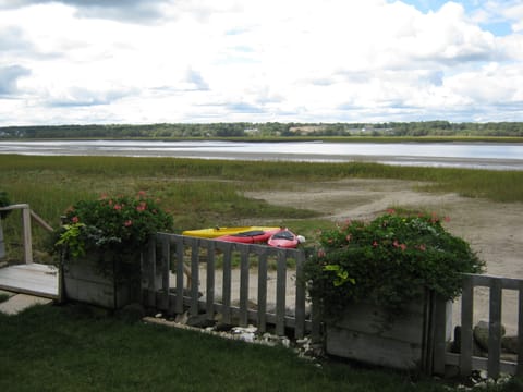 view of the harbor from our back yard