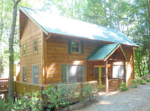 Beautiful cabin offers complete solitude & only 6 miles from downtown BlueRidge.