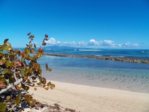 50 Steps to the your Secluded, Sandy, Beach with Puerto Rico in the distance