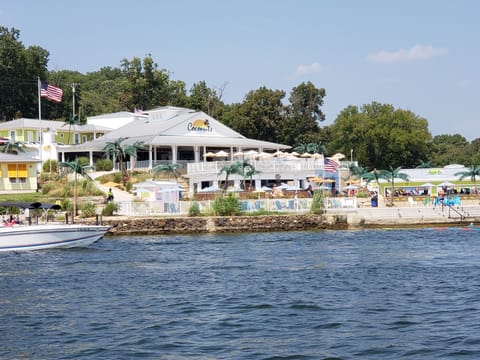 Coconuts...next door neighbor
