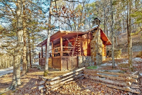 Welcome to the Whitetail!