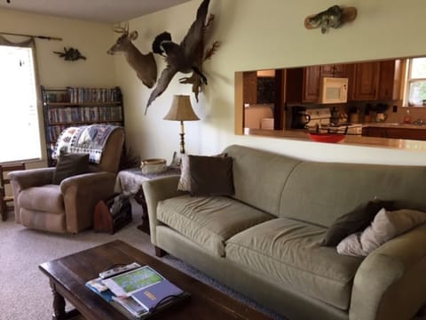 Large and comfortable  living area