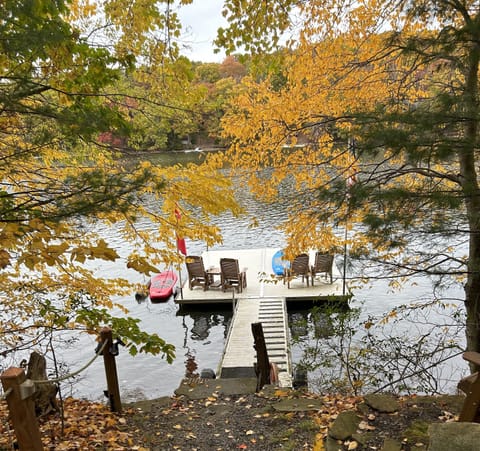 Vibrant FALL Colors. OWLS NEST has DEEP WATER PRIVATE DOCK- Fish , Kayak, Swim. 
