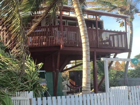 The Tree House
