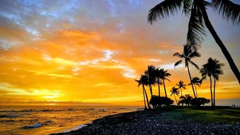 Gorgeous sunset from our nearby beach! Grab a chair and a drink and enjoy!
