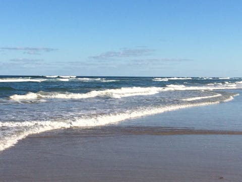 The ever changing ocean with crystal clear water and actual waves! 