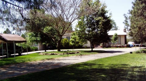 Front yard of property at top of short hill