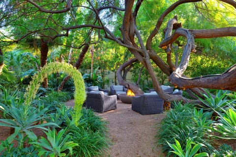 Magical Outdoor Firepit Is Sited Beneath A 90 Year Old Mesquite Canopy.
