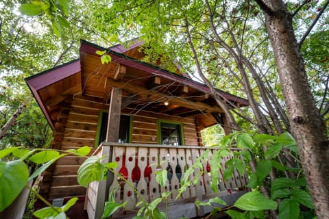 Lovely cabin in the heart of downtown Grand Marais