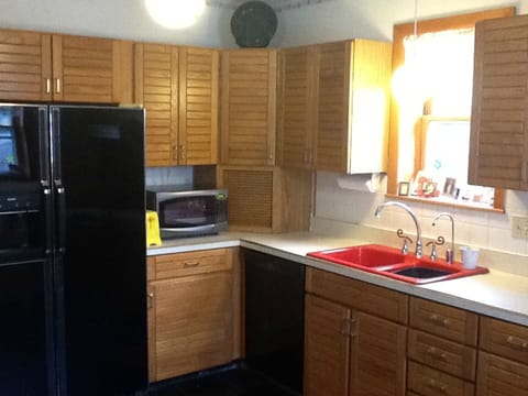 Red cast iron sink, reverse osmosis purified water faucet, black glitter floor
