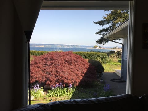 Lighthouse and water view from the living room.