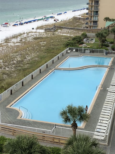 The Swimming Pool
