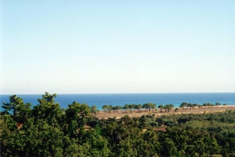 Sea view