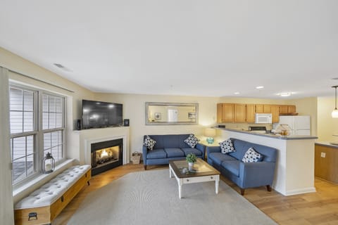 Living Room w/ Fireplace View