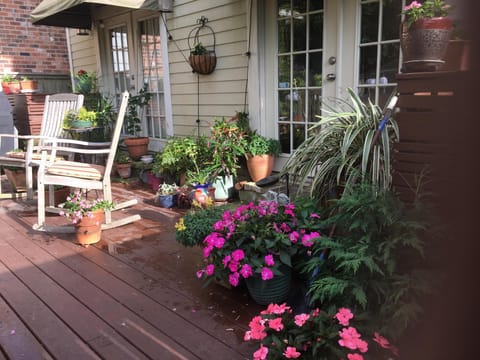 Backyard and deck accessible to guests