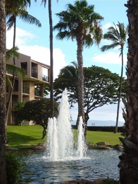 The Beautiful Kamaole Sands Resort Grounds, await your arrival to Maui !