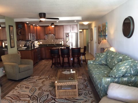 Updated living room and kitchen areas, including sofa sleeper