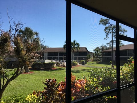 View from the Lanai