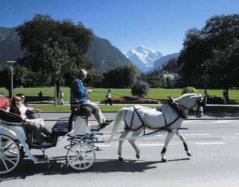 Huge **** apartment with 2 bathrooms located in the center of Interlaken Apartment in Interlaken