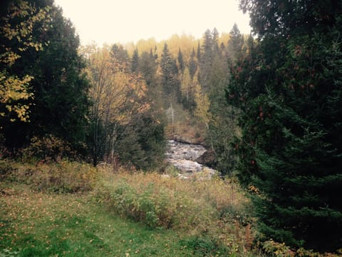 River view from cabin