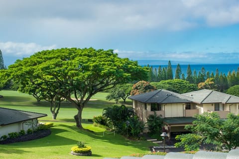 Garden and ocean view